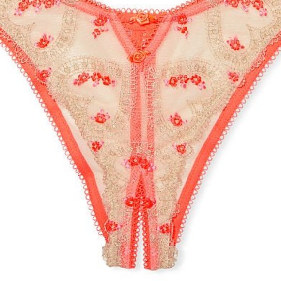 Hearts VS M DREAM ANGELS Heart Embroidery Brazillian Crotchless Panty NWT - Picture 11 of 15